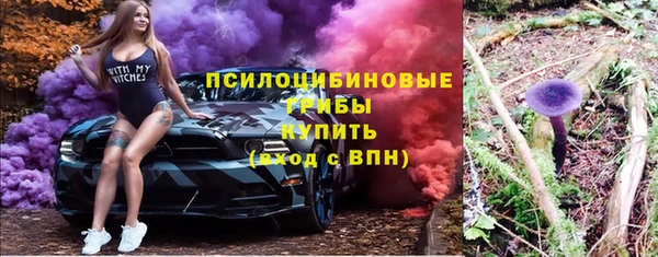 гидропоника Ладушкин