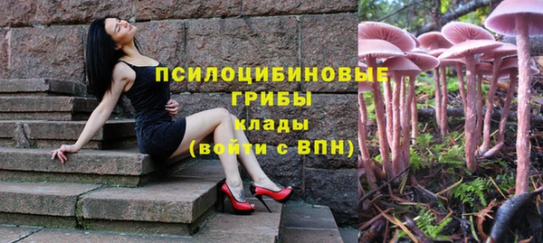 ECSTASY Абдулино