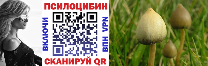 купить наркотик  Приморско-Ахтарск  Галлюциногенные грибы ЛСД 
